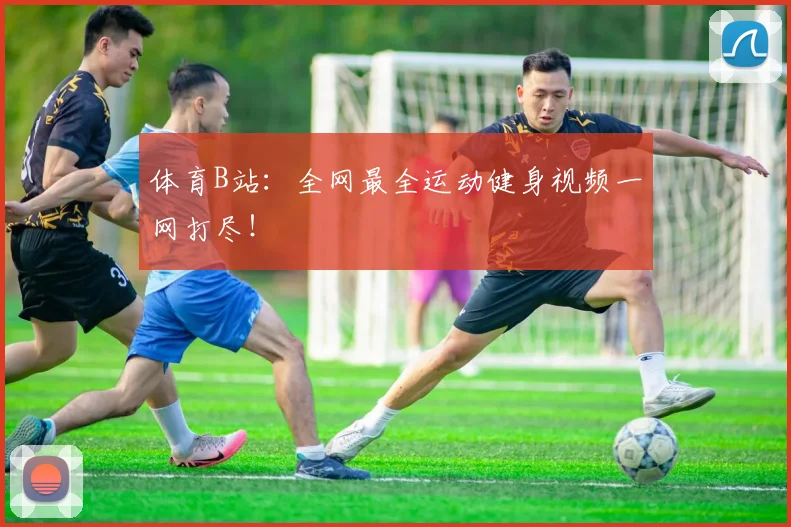 体育B站：全网最全运动健身视频一网打尽！